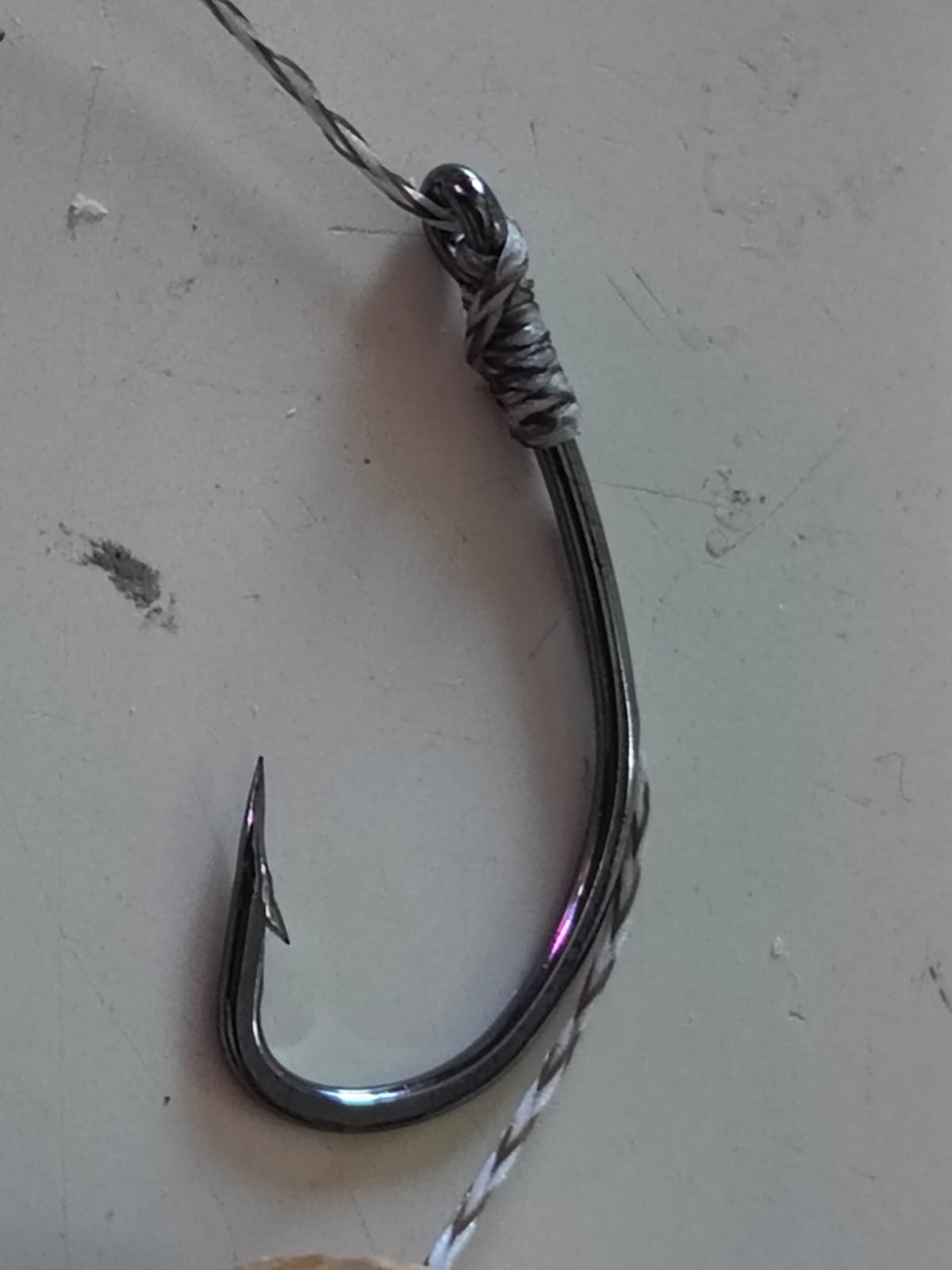 Detalle del nudo sin nudo en un anzuelo de carpfishing