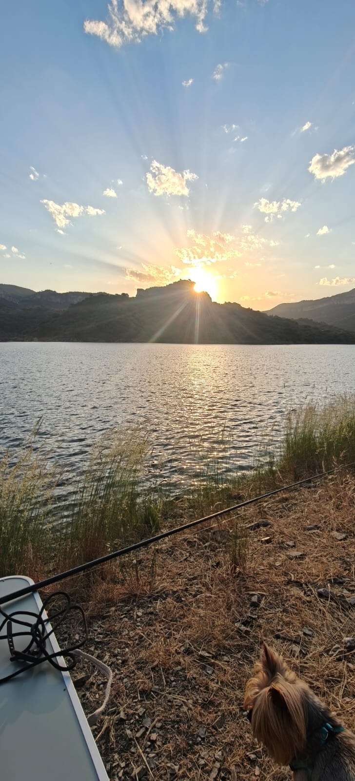 Atardecer en la orilla del embalse de Siurana con un perro mirando al agua.